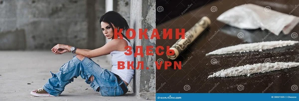 дживик Алзамай